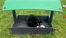 Cat Rain Shelter and Feeder - Keep your cat food dry - Ideal for Stray Cats