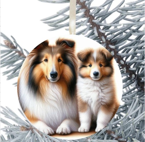 Rough collie hanging - collie, bauble