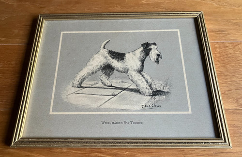 Vintage wire haired fox - wire-haired,