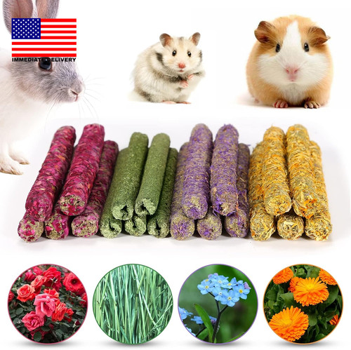 Rabbit chew toys for teeth - toys,