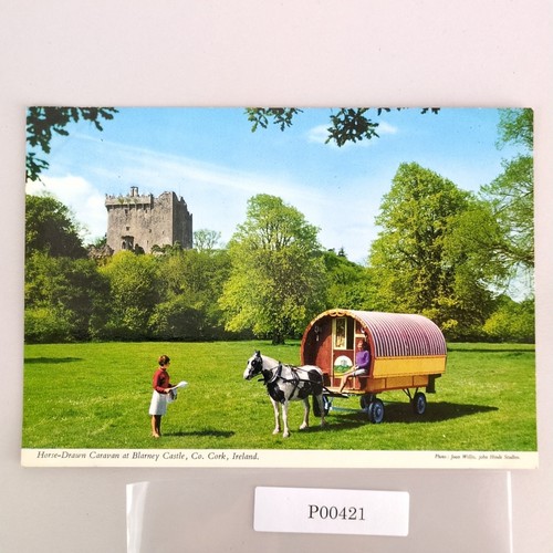 Horse drawn caravan blarney - horse-drawn,