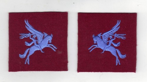 Parachute regiment world war - regiment, 2