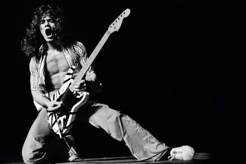 Musician eddie van - musician,