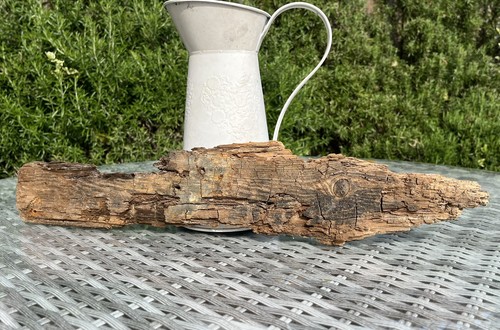 53cm long flat driftwood - ,