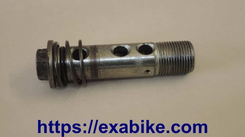 Oil filter valve screw - screw, for