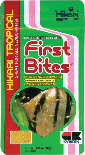 Hikari baby fish - hikari, bite
