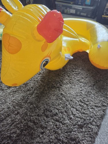 Intex 2011 giraffe inflatable - 2011,
