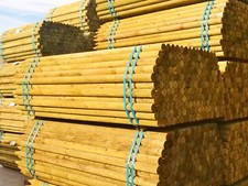 1.5m x 75mm Dia Round Pointed