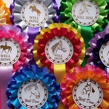 Horse rosettes well done - rosettes,