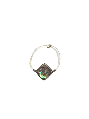 Shimmering abalone shell - shimmering,