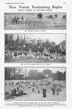 BOLTONS BENCH Meet of the New