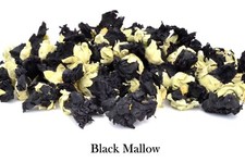 Various Dried Flowers & Petals