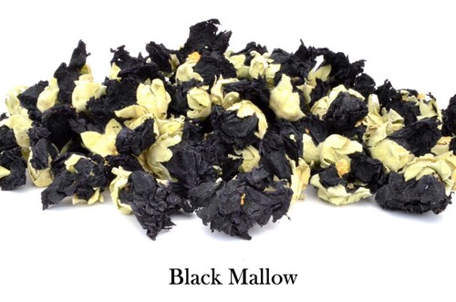 Various dried flowers - flowers, &