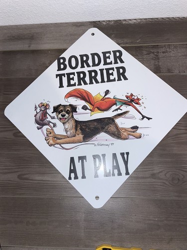 Border terrier play dog - terrier, at
