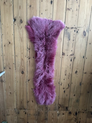 Real arctic fox - fox, fur
