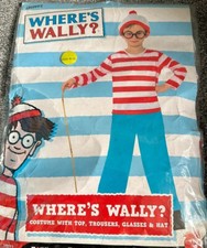 Smiffys Where's Wally? Book