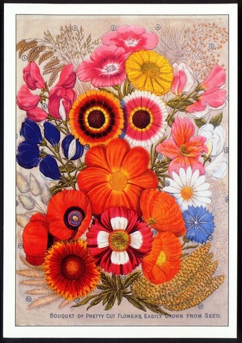 Modern postcard depicting page - postcard,