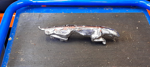 Jaguar leaping cat large - jaguar,