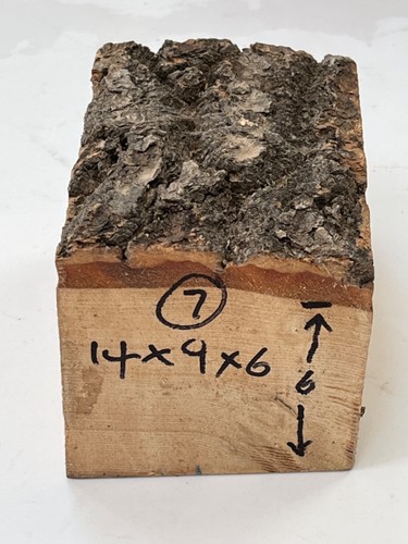 Ash kiln dried carving - ash,