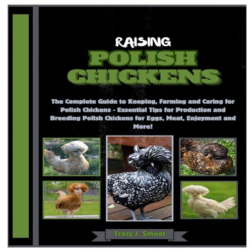 Raising polish chickens - polish, the