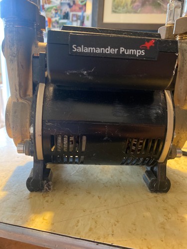Salamander twin positive - salamander,