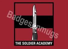 The Soldier Academy metal wall