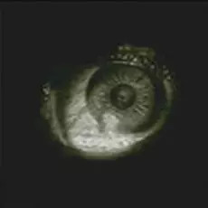 Stygian chimaera - stygian,,