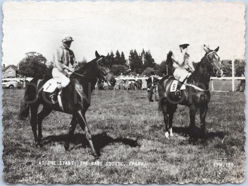 Epsom horse racing friths - epsom,