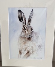 Hare  A4 Print Signed Wildlife