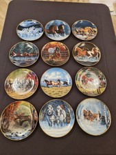 Horses For All Seasons By