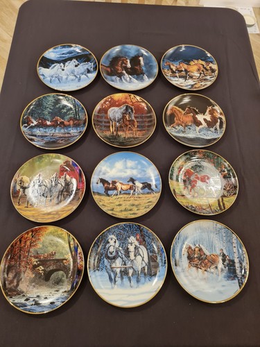 Horses for all - for, seasons