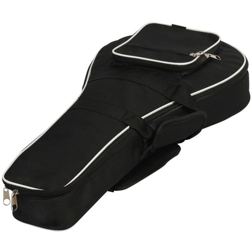 Mandolin storage case musical - mandolin,
