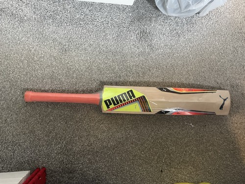 Puma evo speed - english, willow