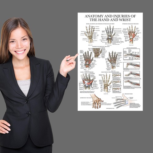 5size hot anatomy hand - 5size,