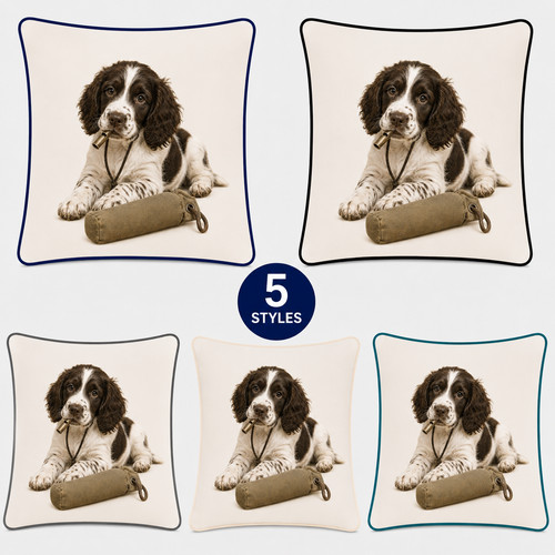 English springer spaniel puppy - springer,