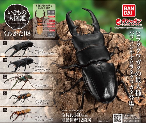 New gashapon stag beetle - stag,