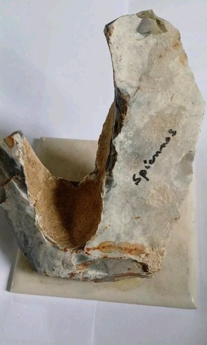 Large neolithic flint knapped - flint,