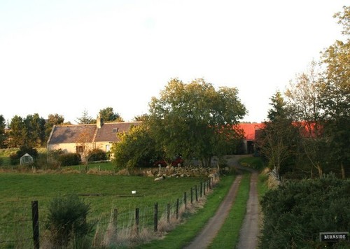 Photo 6x4 burnside farm - photo,