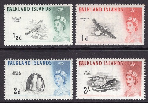 Falkland islands 1960 birds - falkland,