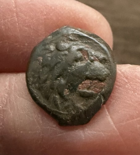 The seleukid kingdom - the,