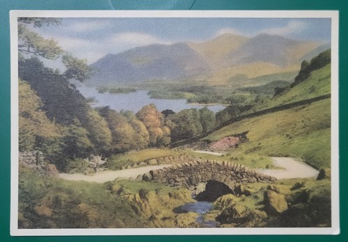 Vintage postcard unused - vintage,