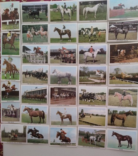 The horse 1966 anglo - 1966,