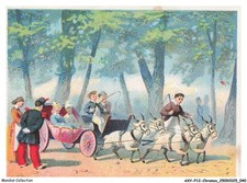 AXYP12-0828-CHROMOS - Goat