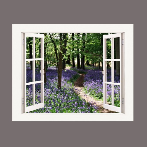 Bluebell woodland path x20 - woodland, 16"x20"