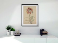 Set of 3 Rennie Mackintosh A3 FRAMED plant PRINTS digital choice print & frame