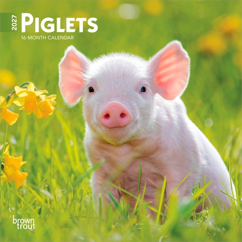 Piglets 2027 7x14 - |, 7x14"