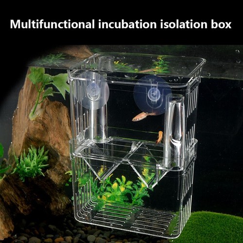 Acrylic fish tank breeding - tank,