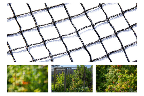 Anti bird netting 20 - bird,