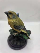 The Country Bird Collection Greenfinch Figurine by Andy Pearce