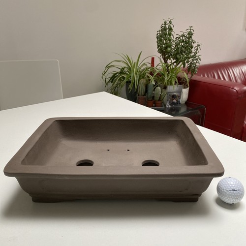 Large bonsai pot 7x24 5cm - pot, 33.7x24.5cm